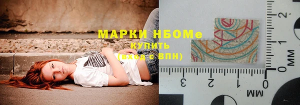 хмурый Алзамай