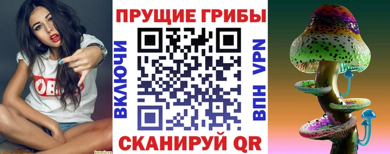 купить   Усинск  Псилоцибиновые грибы ЛСД 